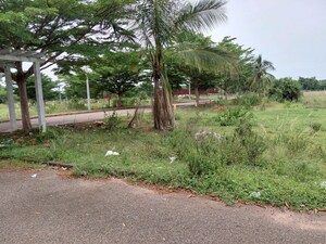 Plot Area in  Land at Buddivalasa – for Sale