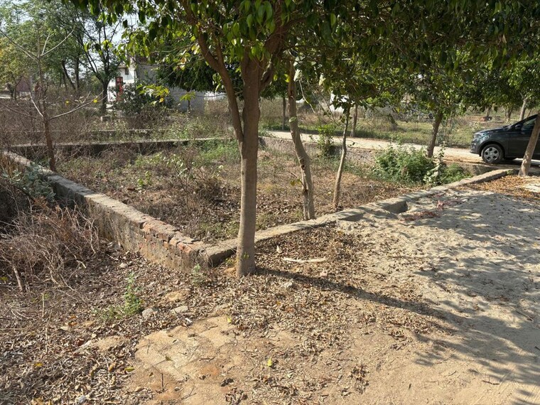 undefined, jasana  900 Sq.Ft. Plot In Jasana Faridabad 10657234