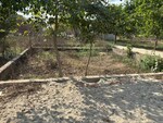 900 Sq.Ft. Plot in Jasana