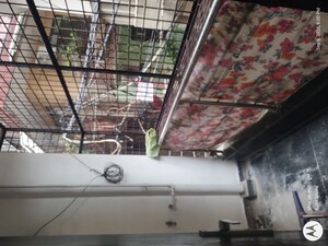 Balcony in 2 BHK Builder Floor at Mehrauli – for Rent
