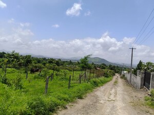  Plot For Sale in Kasarsai