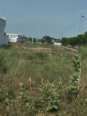 Plot Area in  Plot at Sector 18 Yamuna Expressway – for Sale