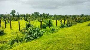 Plot Area in  Plot at Murbad – for Sale