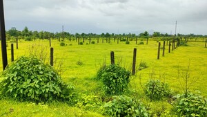 Plot Area in  Plot at Murbad – for Sale