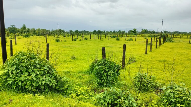 undefined, murbad  4475 Sq.Ft. Plot In Murbad Thane 10657547