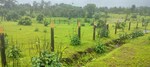 4475 Sq.Ft. Plot in Murbad