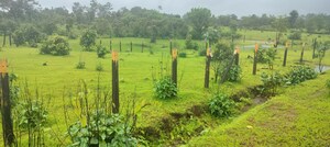  Plot For Sale in Murbad