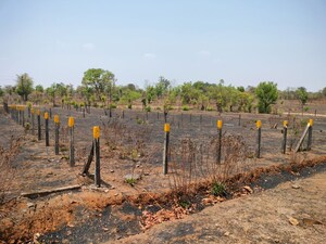 Plot Area in  Plot at Murbad – for Sale