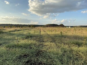Plot Area in  Land at Chevalla – for Sale