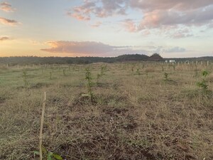 Plot Area in  Land at Chevalla – for Sale
