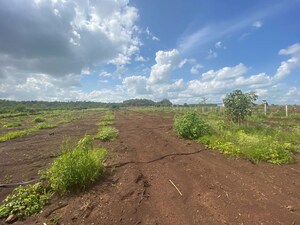 Plot Area in  Land at Chevalla – for Sale
