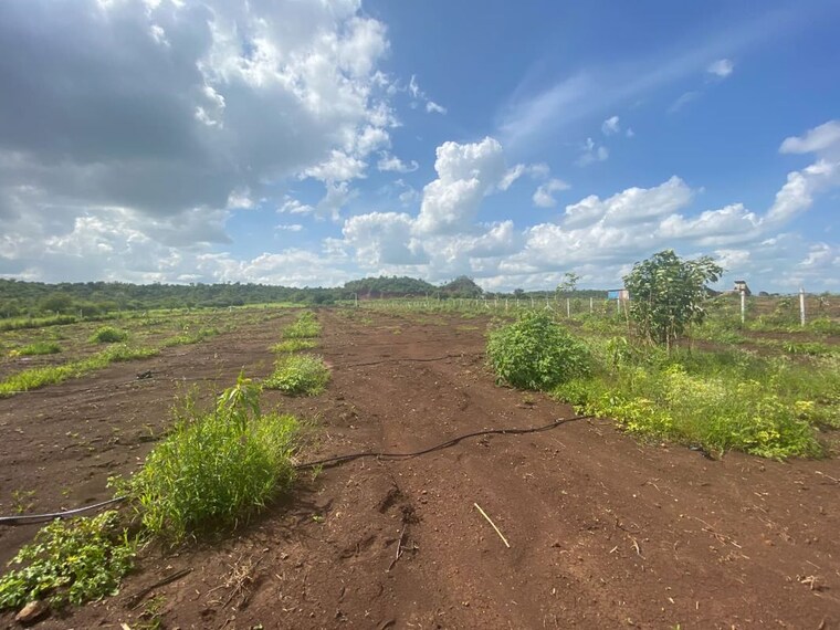 undefined, chevalla Commercial Land 4480 Sq.Ft. In Chevalla Hyderabad 10657561