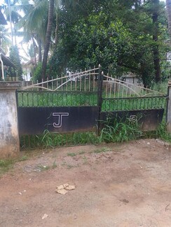 Plot For Sale in Nellikunnu