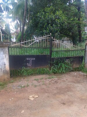  Plot For Sale in Nellikunnu
