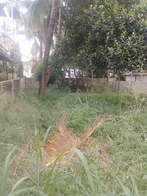 Plot Area in  Plot at Nellikunnu – for Sale