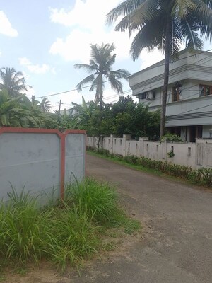  Plot – Exterior View View at Nellikunnu - for Sale