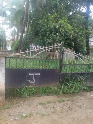 Plot Area in  Plot at Nellikunnu – for Sale