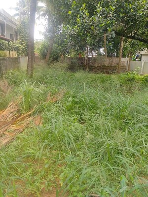 Plot Area in  Plot at Nellikunnu – for Sale