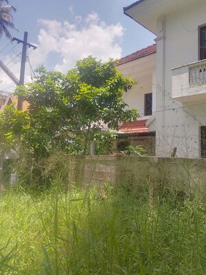 Plot Area in  Plot at Nellikunnu – for Sale