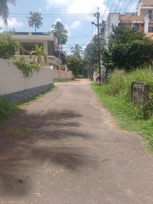 Plot Area in  Plot at Nellikunnu – for Sale