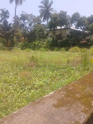 Plot Area in  Plot at Koorkenchery – for Sale
