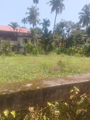  Plot For Sale in Koorkenchery