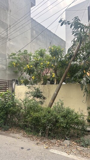  Plot For Sale in Sector 19