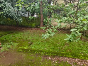  Plot For Sale in Sagaon