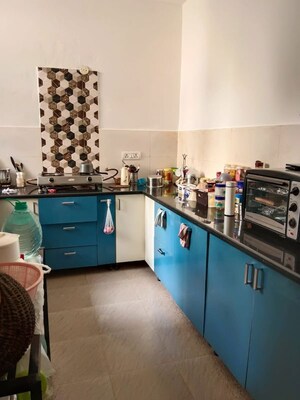 Kitchen in 3 BHK Builder Floor at Sector 23 – for Rent