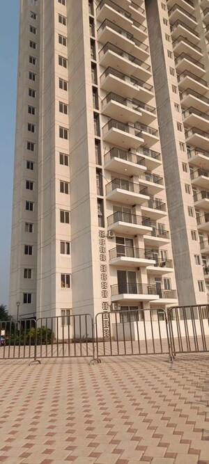 3 BHK Builder Floor – Exterior View View at Omaxe The Resort, South Mullanpur - for Sale