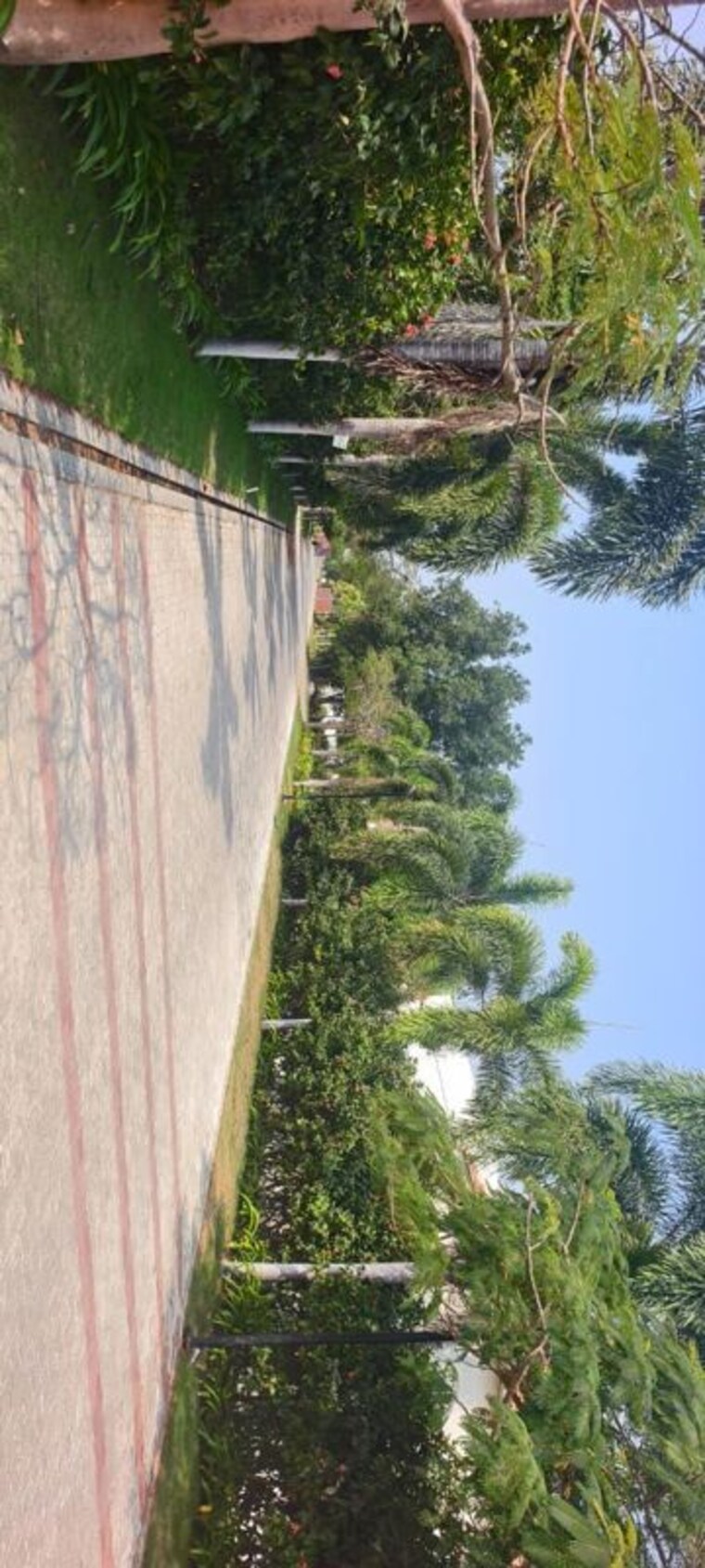 undefined, pandurangapuram  311 Sq.Yd. Plot In Pandurangapuram Bapatla 10658383