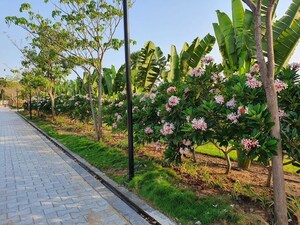  Plot – Garden View at Pandurangapuram - for Sale
