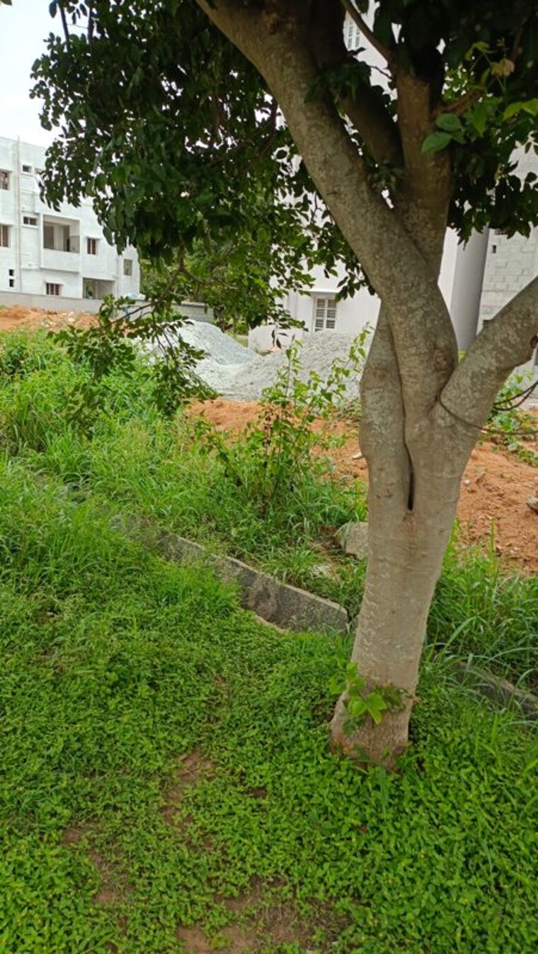 Garden, aiswarya-golden-nest  1500 Sq.Ft. Plot In Bannerghatta Bangalore 10658413