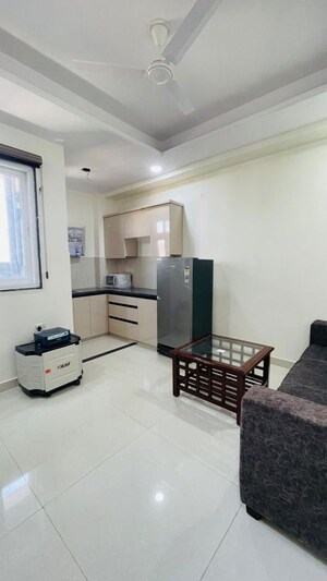 Living Room in 1 BHK Builder Floor at Sector 40 – for Rent