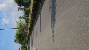 Plot Area in  Plot at Gomti Nagar – for Sale