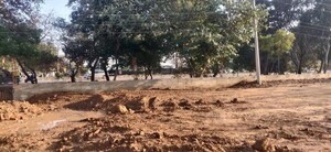 Plot Area in  Plot at Sector 120 – for Sale