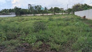 Plot Area in  Plot at Vasai West – for Sale