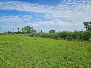  Plot For Sale in Bagmugaliya