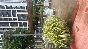 2 BHK Apartment – Exterior View View at Dosti Eastern Bay Phase 1, Wadala - for Rent
