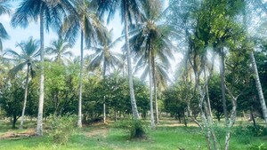  Land For Rent in Avalapalli