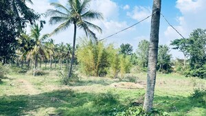 Plot Area in  Land at Avalapalli – for Rent
