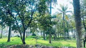  Land – Exterior View View at Avalapalli - for Rent