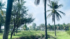  Land – Exterior View View at Avalapalli - for Rent