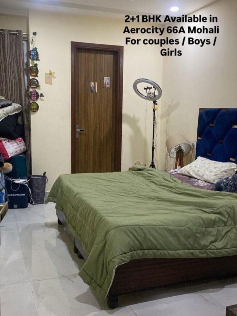 Bedroom, aerocity 2.5 Bedroom 1560 Sq.Ft. Builder Floor In Aerocity Mohali 10659654
