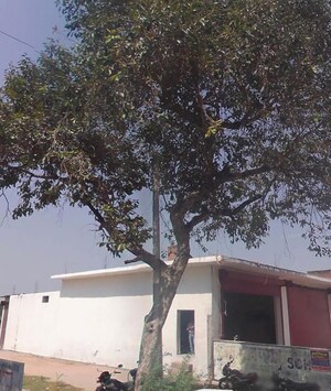 Land – Exterior View View at Dev Nagar - for Sale