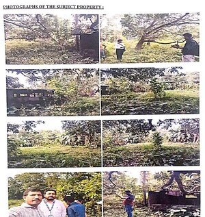 Plot Area in  Land at Gumar Gala – for Sale