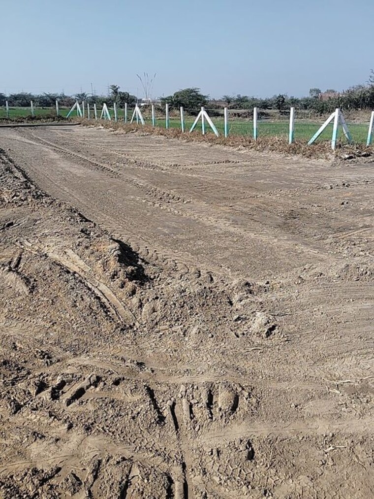 undefined, sohna sector 35  900 Sq.Ft. Plot In Sohna Sector 35 Gurgaon 10659900