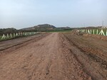 900 Sq.Ft. Plot in Sohna Sector 35