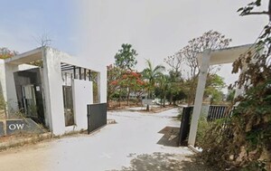  Land For Sale in Mantana Kurchi