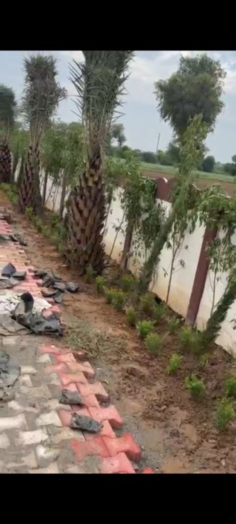 undefined, kulana  605 Sq.Ft. Plot In Kulana Jhajjar 10660146